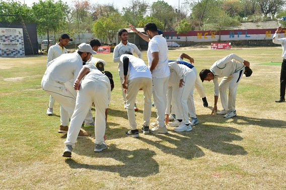 Cricket Mania Image 2