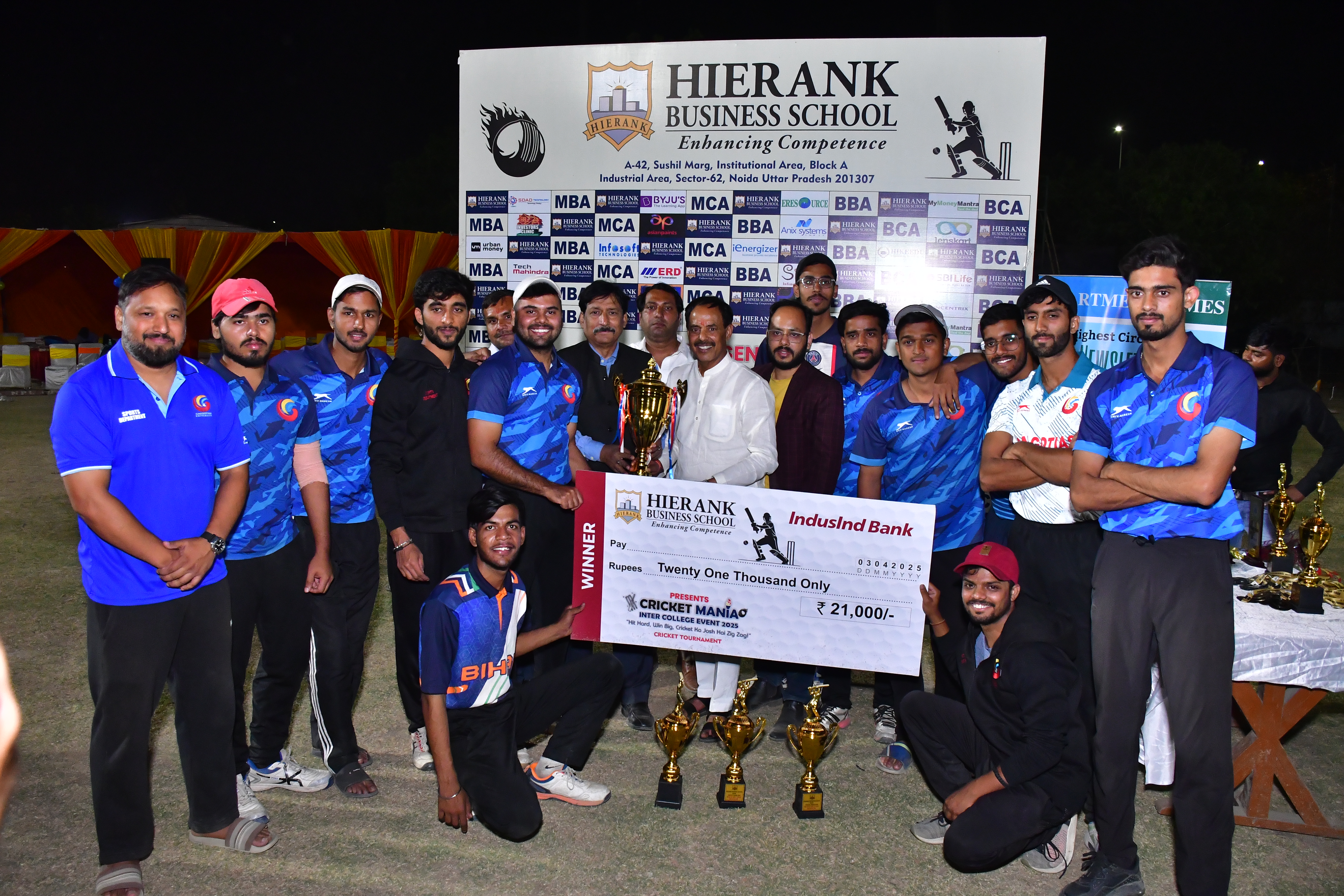 Cricket Mania Image 3